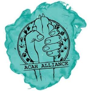Team Page: All Creatures Animal Hospital